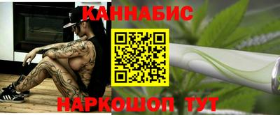 сатива Краснознаменск
